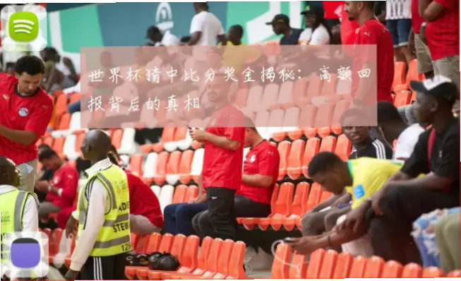世界杯竞彩赔率为何诱人？揭秘背后真相